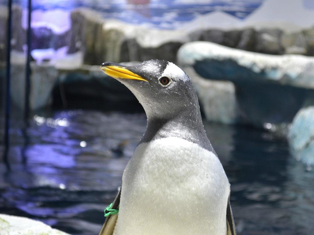 SEA LIFE Konstanz-康士坦茨必去景点