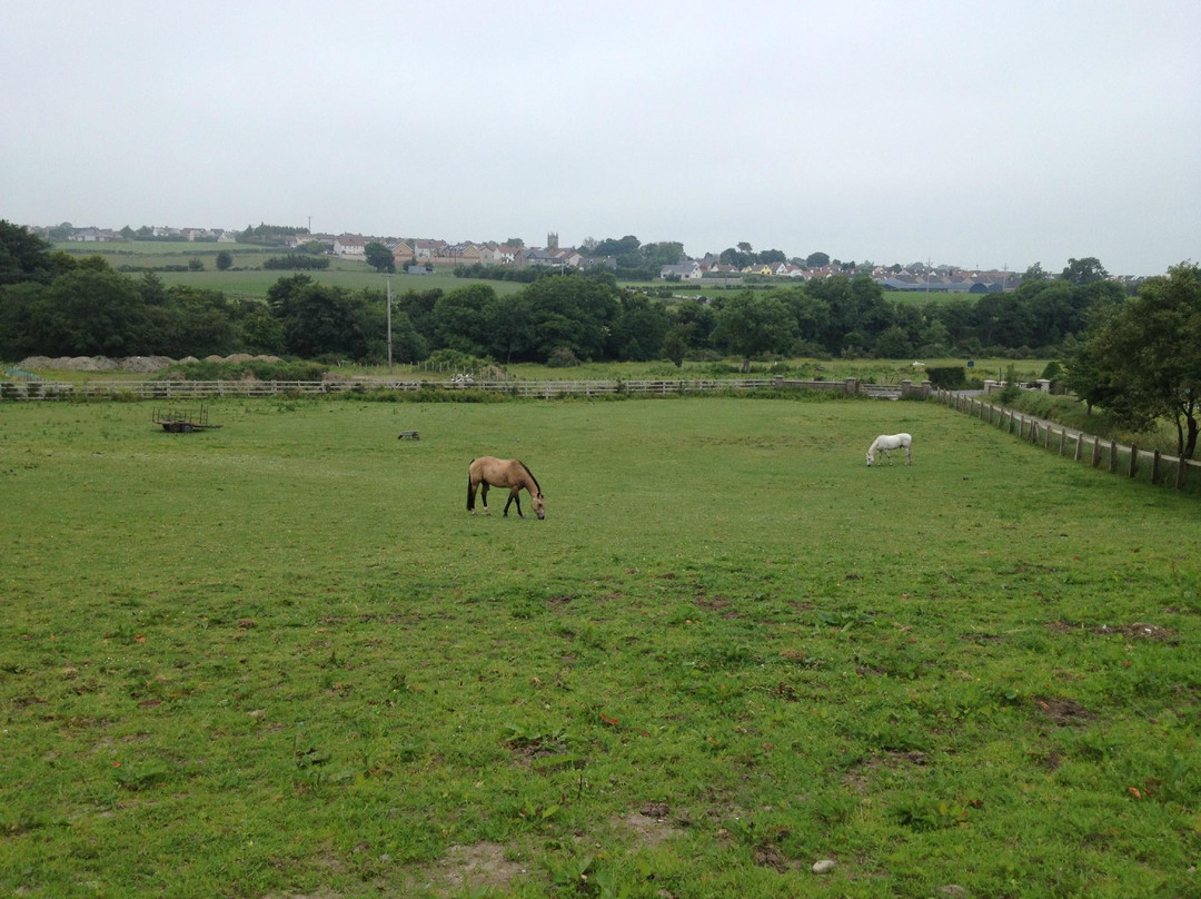 Laneway Lodge - Private Day Horse Rides景点图片