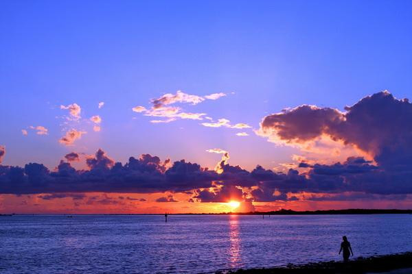 Honeymoon Island State Park-达尼丁必去景点
