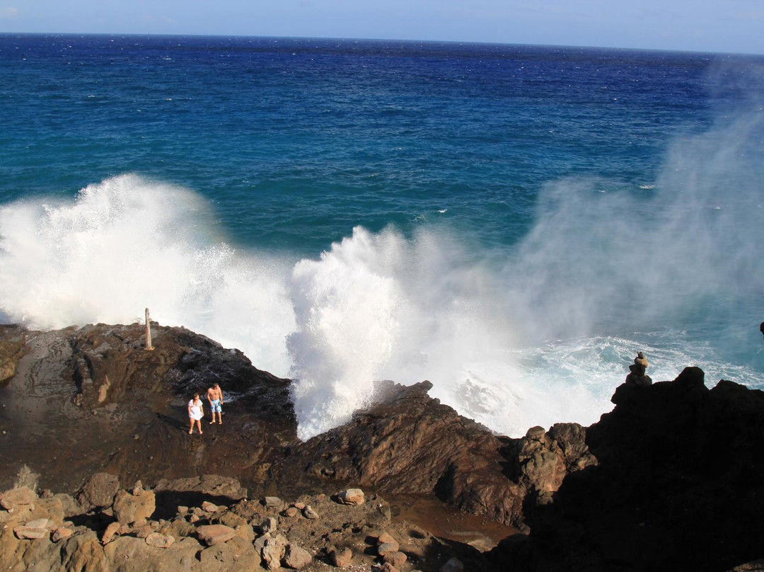 E Noa Tours-火奴鲁鲁必去景点