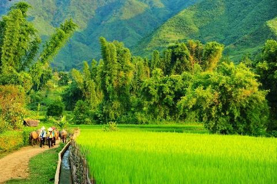 VivuTravel-河内必去景点