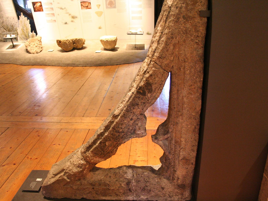 Ries Crater Museum-讷德林根必去景点