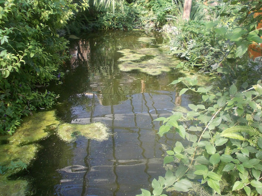 Butterfly Farm d'Abruzzo-Citta Sant'Angelo必去景点