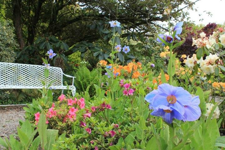 Knockpatrick Gardens-福因斯必去景点