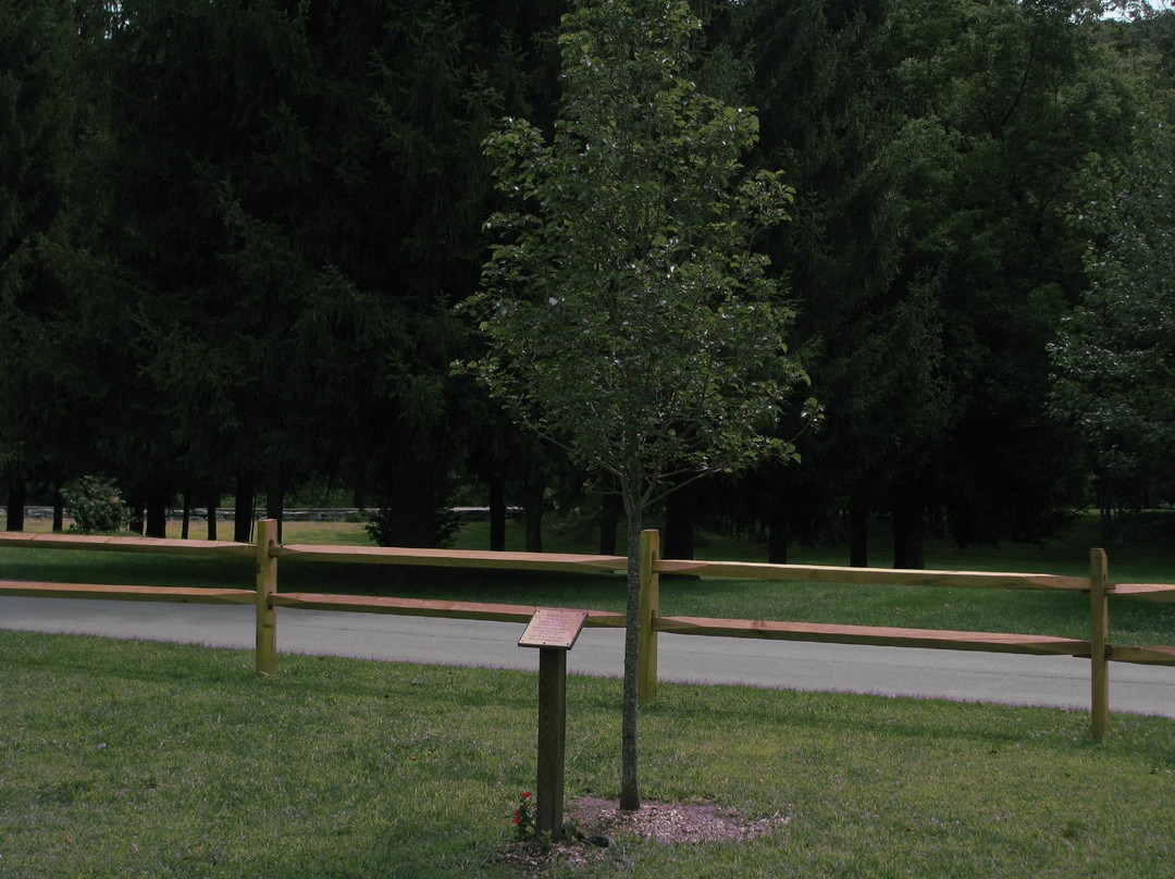 Lazy Brook Park-Tunkhannock必去景点