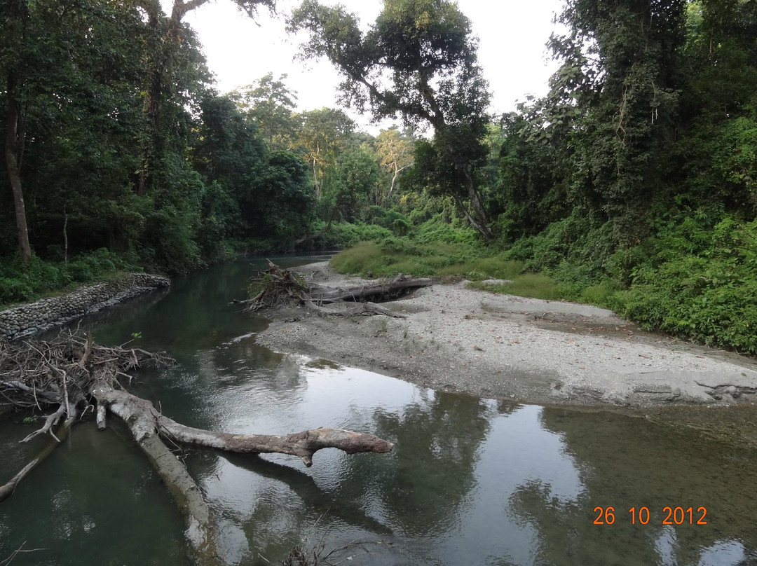 Chilapata Wildlife Sanctuary景点图片