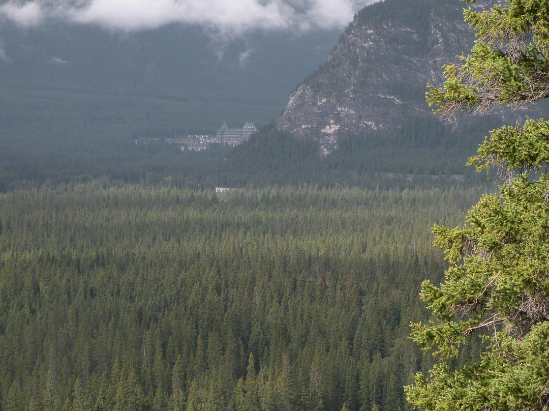 Tunnel Mountain Drive-班夫必去景点