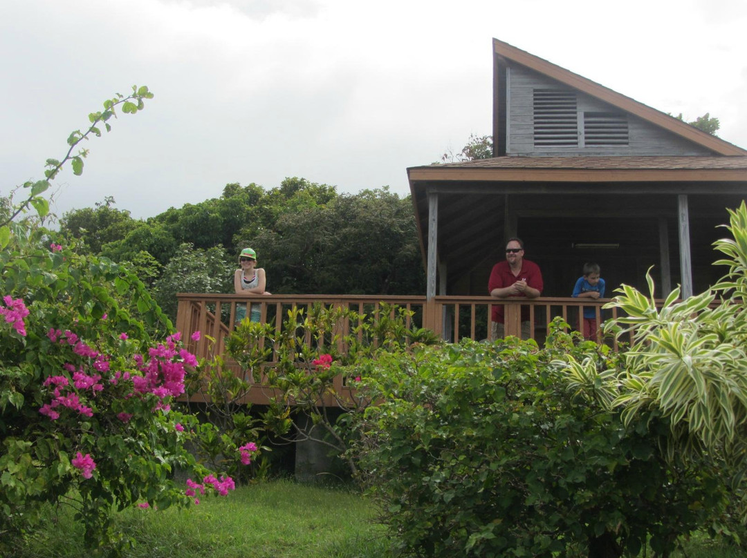 Jack Boy Hill Viewing Facility-蒙特塞拉特必去景点