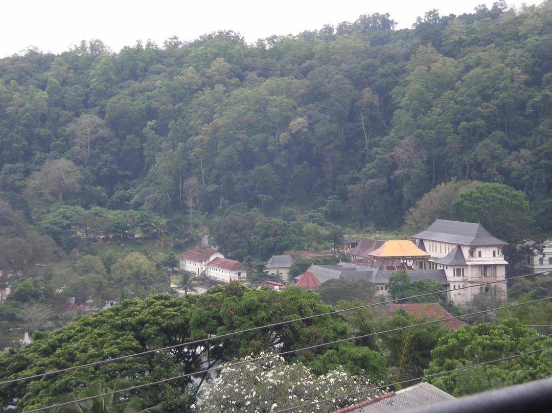 佛牙寺-康提必去景点