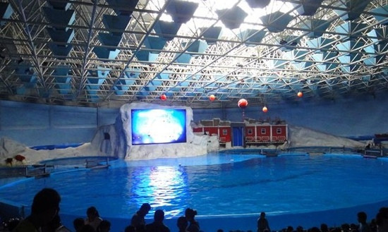 蓬莱海洋极地世界-蓬莱市必去景点