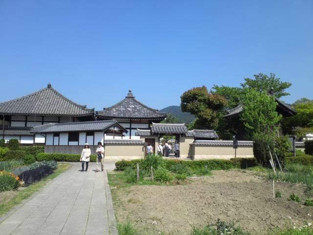 Asuka-dera Temple-明日香村必去景点