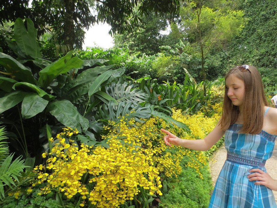 国家兰花园-新加坡必去景点