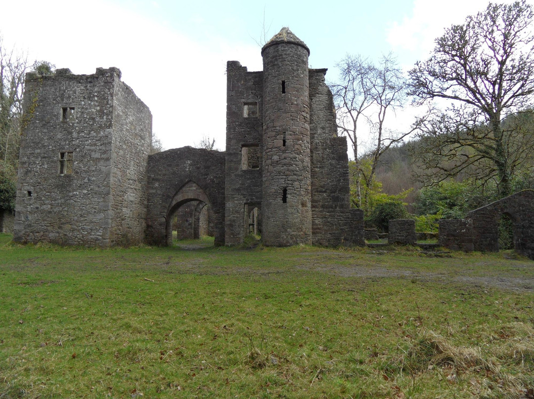 Carey's Castle-Clonmel必去景点