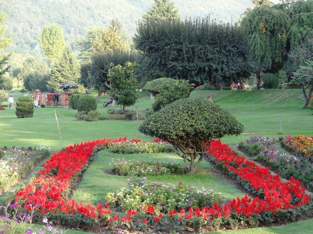 Jawaharlal Nehru Memorial Botanical Gardens景点图片