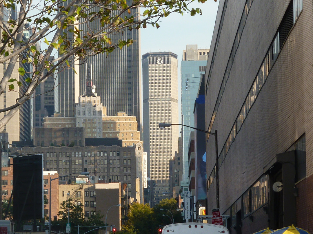 Hell's Kitchen & Clinton Dog Run-纽约市必去景点