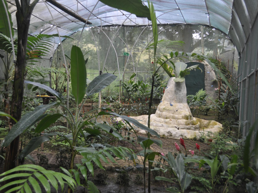 The Motmot Jungle-福德圣卡洛斯必去景点