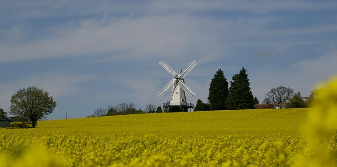 Woodchurch Windmill景点图片