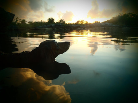 Nativo Tours-图伦必去景点