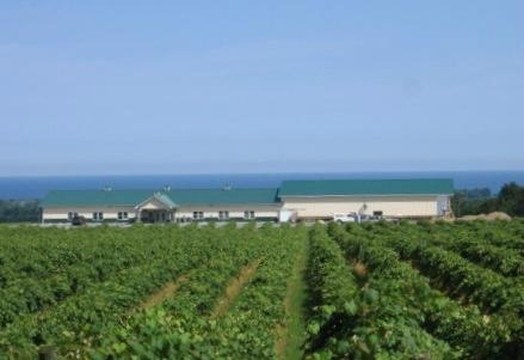 Lake Erie Wine Country-Silver Creek必去景点