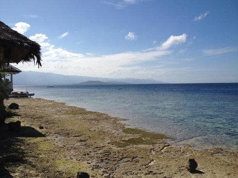 The Blue Abyss Dive Shop-莫阿尔博阿尔必去景点