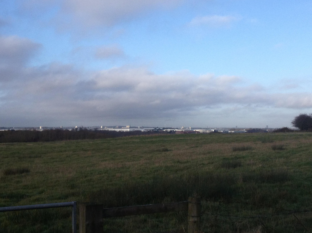 Ryton Pools Country Park景点图片