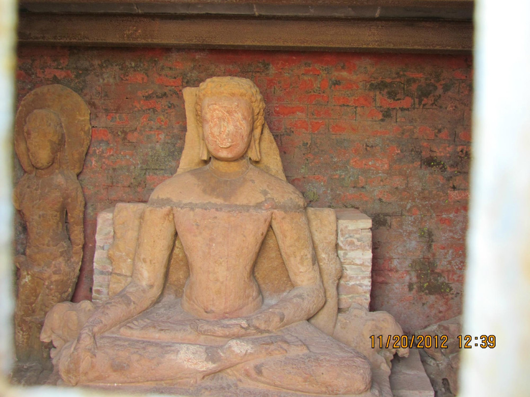 Swastik Vihar Mahasamund景点图片