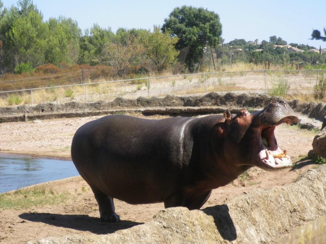 Parc Zoologique de Frejus-弗雷瑞斯必去景点