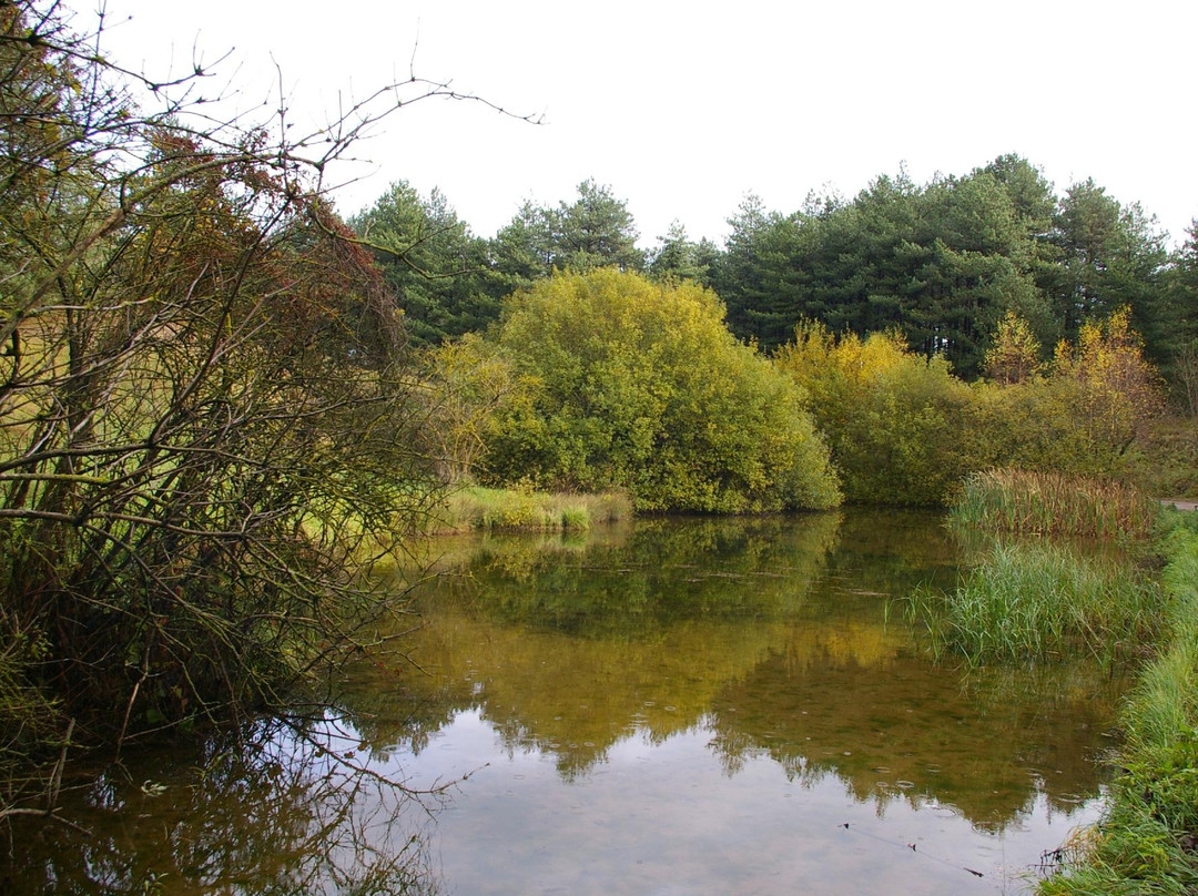Parc du Marquenterre-Saint-Quentin-en-Tourmont必去景点