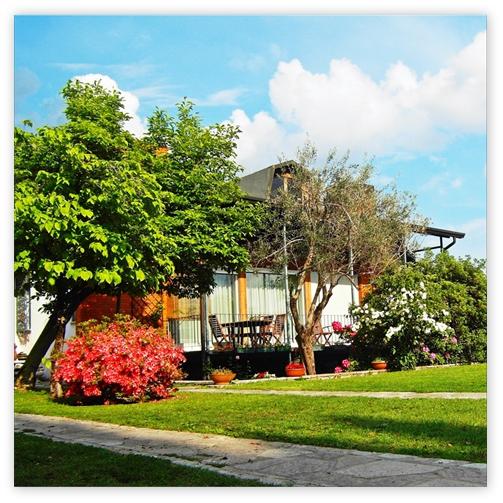 B&B Bassiano-官方