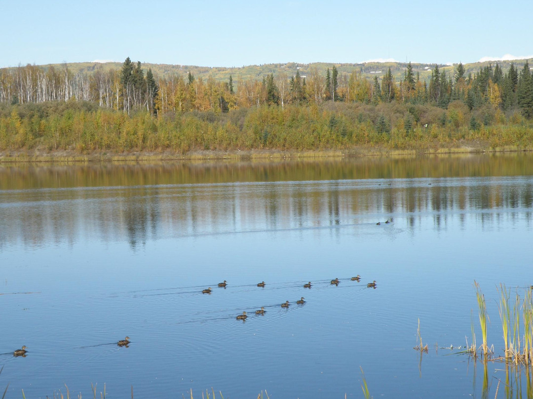 Creamer's Field Migratory Waterfowl Refuge-费尔班克斯必去景点