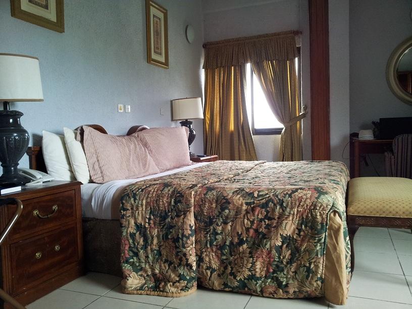 Savoy Palmz Hotel-客卧