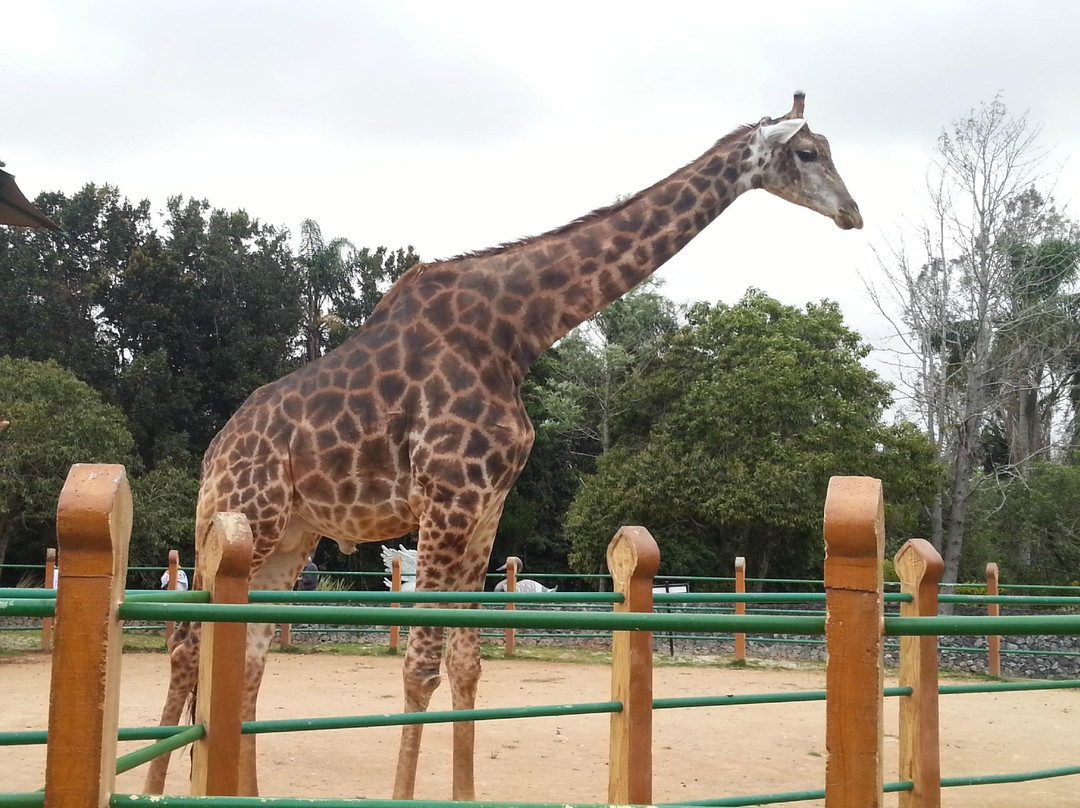 贝托卡雷洛世界乐园-佩尼亚必去景点