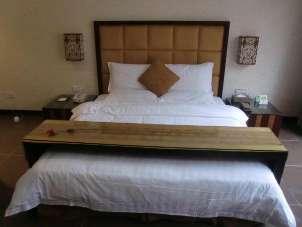 望谷温泉度假村-客卧