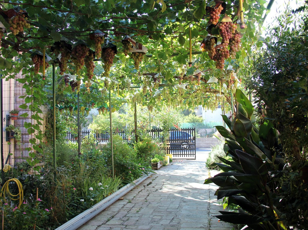 B&B Il Catalano主图