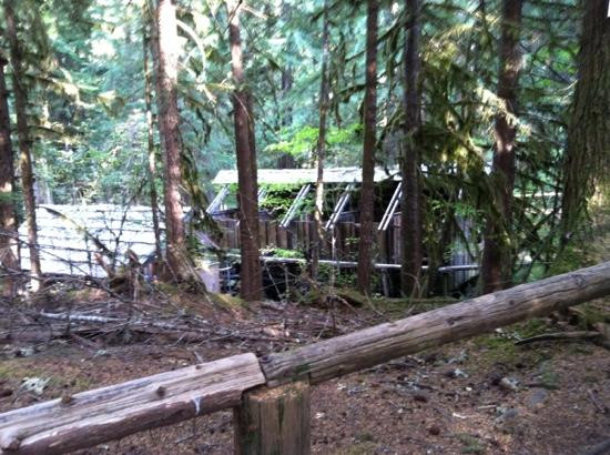 Bagby Hot Springs-Estacada必去景点