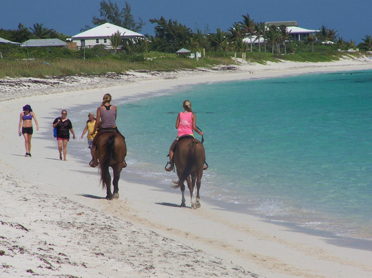 Caicos Coral-普罗维登西亚莱斯必去景点
