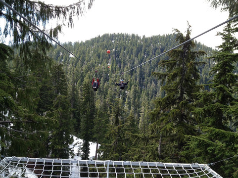 Grouse Mountain Ziplines-北温哥华必去景点