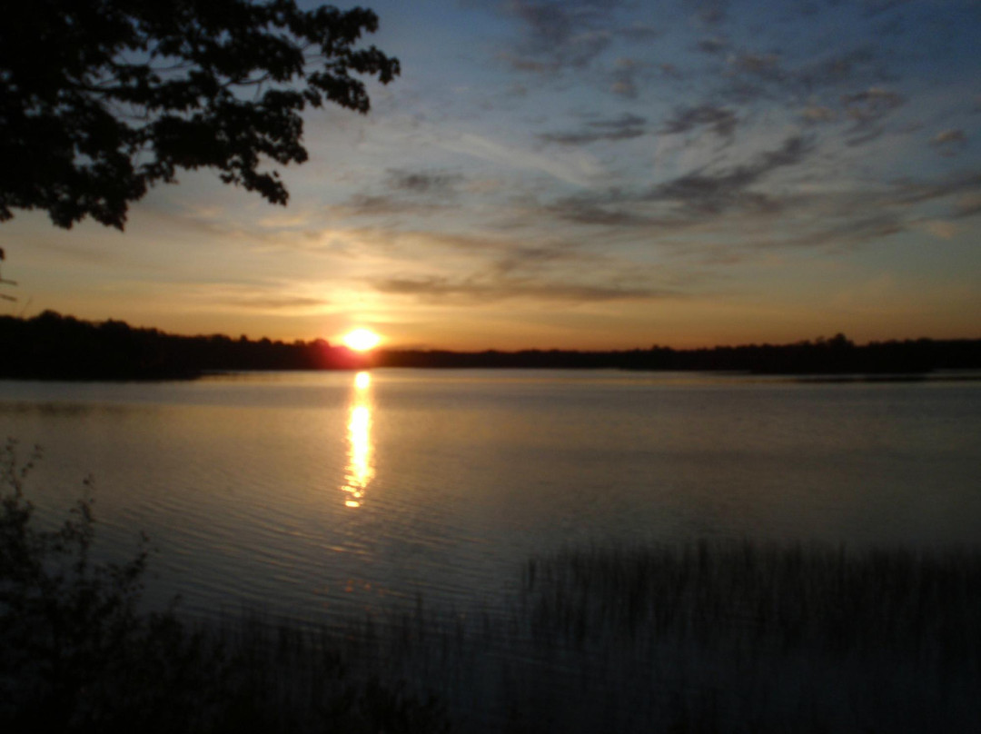 Cedar Bay Resort
