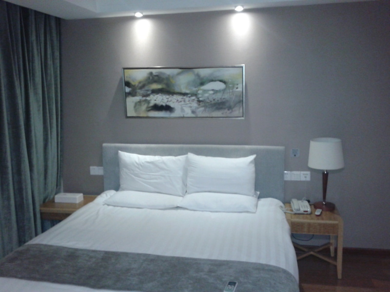 上海汉庭浦东金桥碧云店-客卧