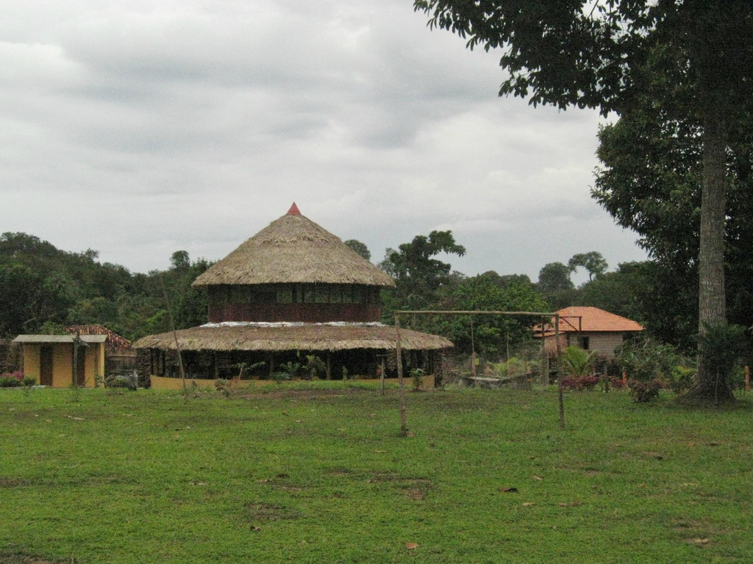 Amazon Turtle Lodge