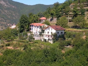 Agriturismo Il Castagno 农场旅馆“栗子”