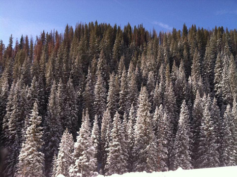 Vail Backcountry Tours-韦尔必去景点