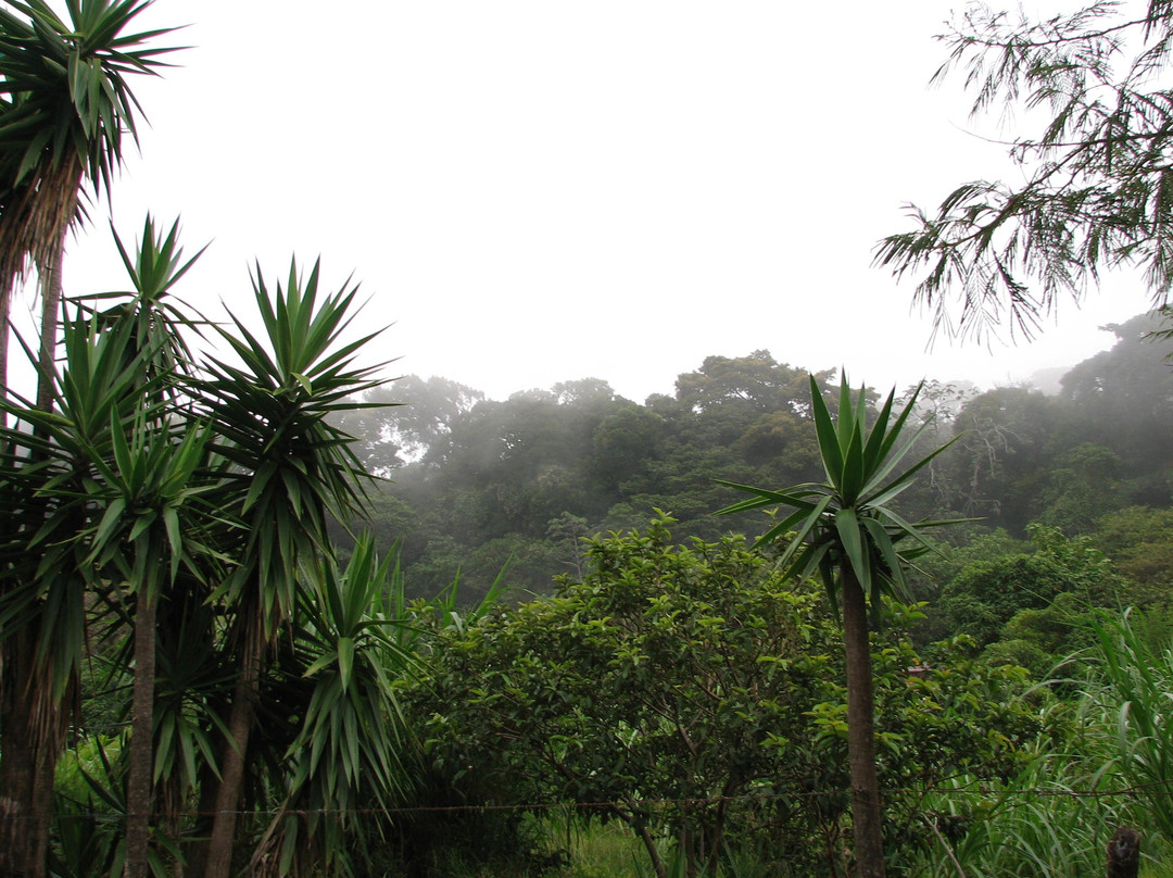 Valle Escondido Night Tour-圣埃伦娜必去景点