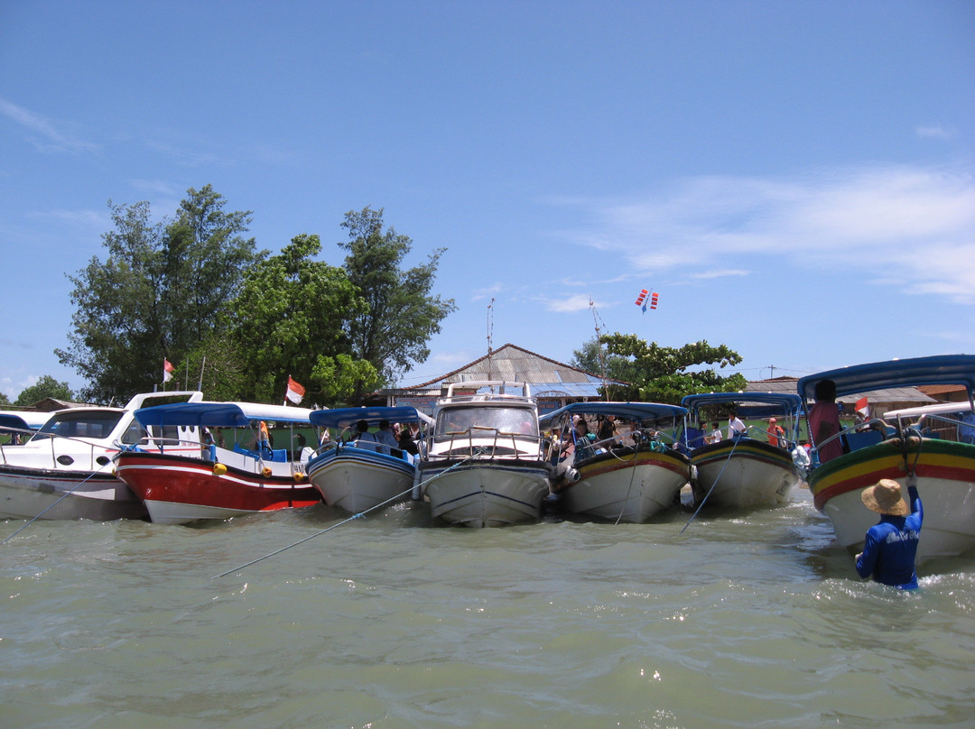 Deluang Sari Turtle Conservation Center-南湾必去景点