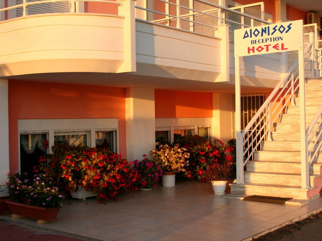 Hotel Dionysos主图