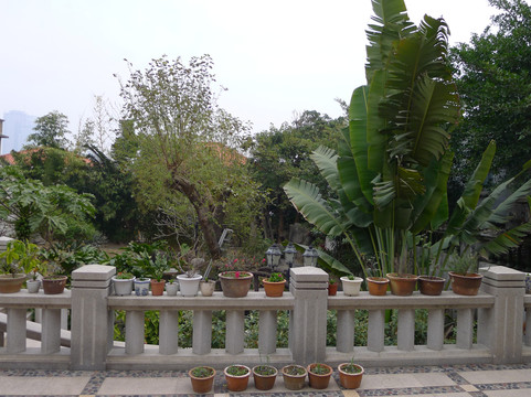 花堂咖啡家庭旅馆主图