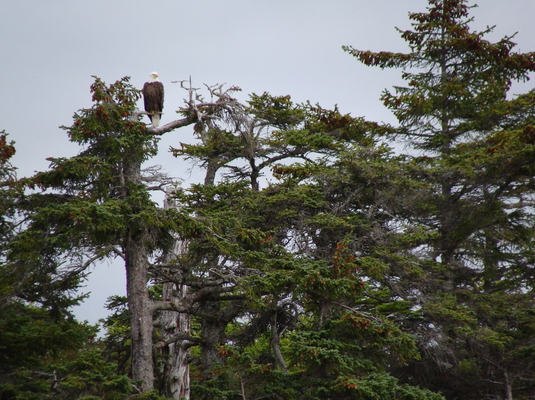 Sitka Sound Tours-锡特卡必去景点