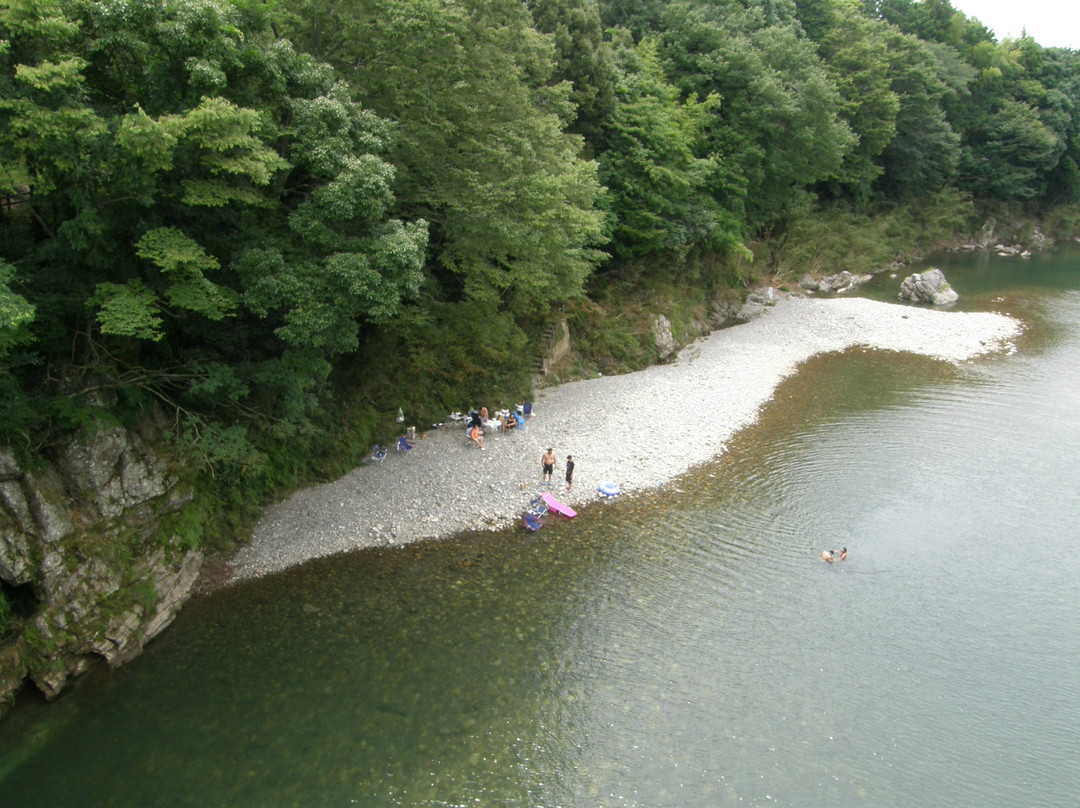 Sakurabuchi Park景点图片