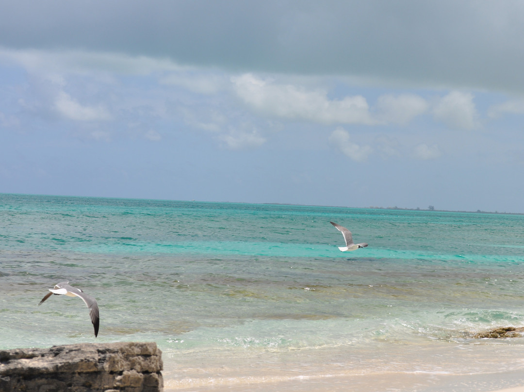 Island Vibes Tours-普罗维登西亚莱斯必去景点