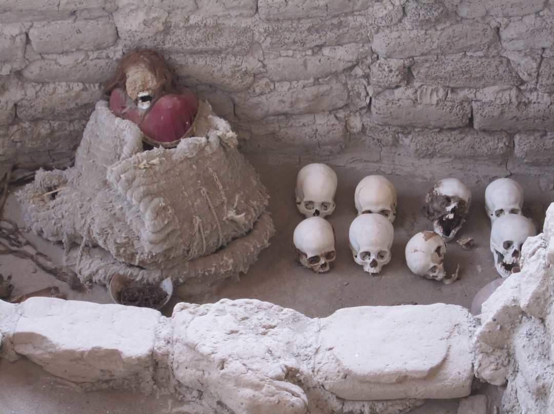 Cementerio Chauchilla-纳斯卡必去景点